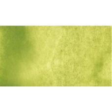 Terre verte (teinte jaune) - aquarelle PWC Tube 15ml ShinHan