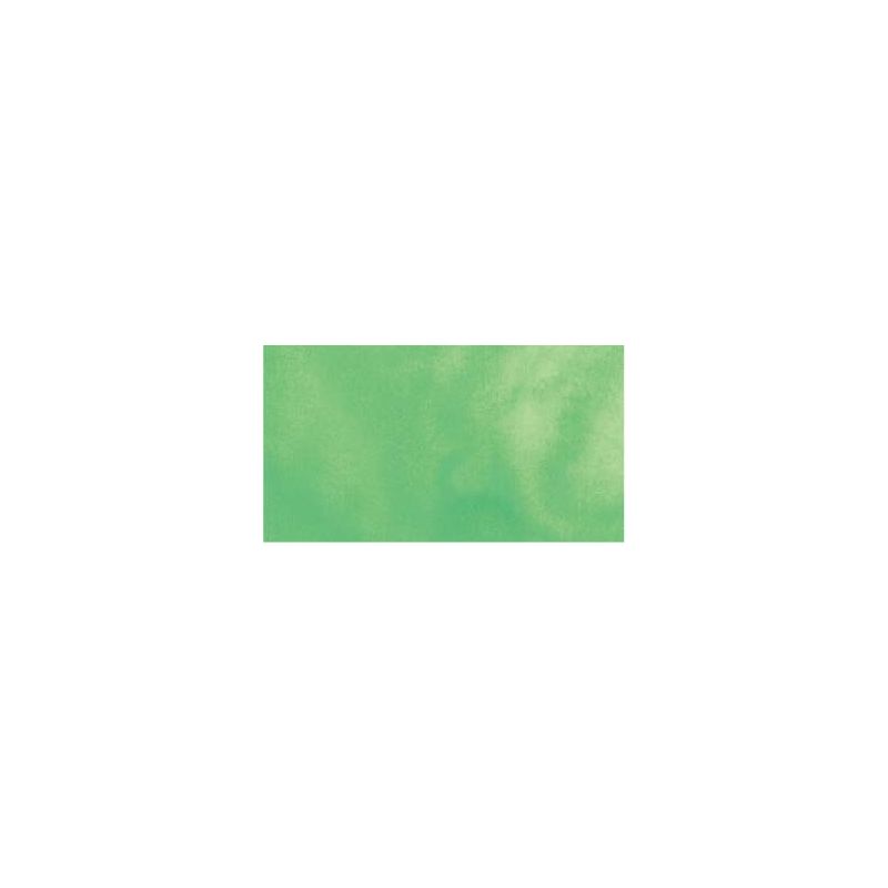 Vert pâle - aquarelle PWC Tube 15ml ShinHan