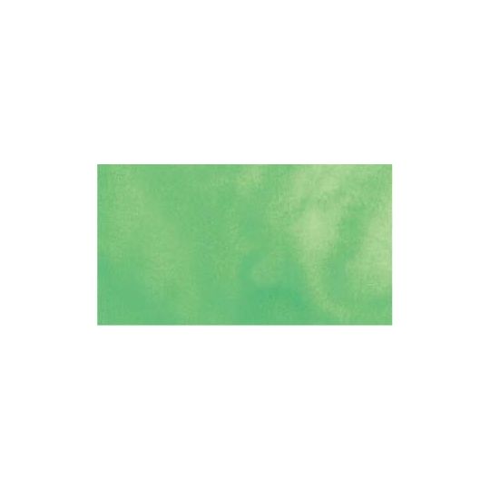 Vert pâle - aquarelle PWC Tube 15ml ShinHan