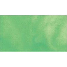 Vert pâle - aquarelle PWC Tube 15ml ShinHan