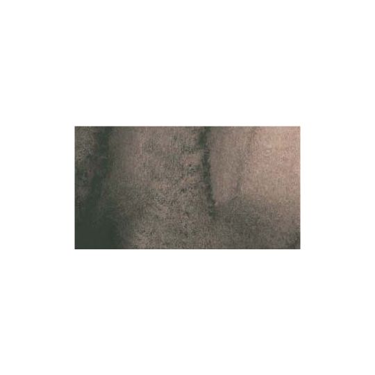 Sépia - aquarelle PWC Tube 15ml ShinHan