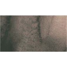 Sépia - aquarelle PWC Tube 15ml ShinHan