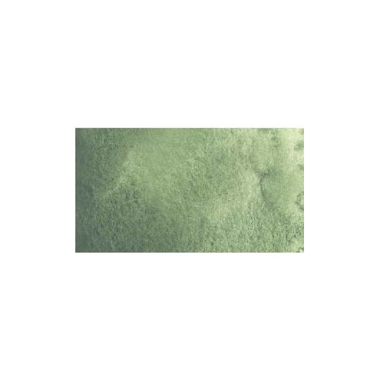 Gris de Davy - aquarelle PWC Tube 15ml ShinHan