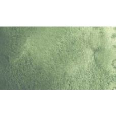 Gris de Davy - aquarelle PWC Tube 15ml ShinHan