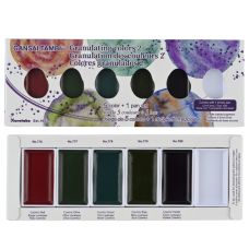 Coffret Set 2 teintes granuleuses 5 godets japonais aquarelle Gansai Tambi Kuretake