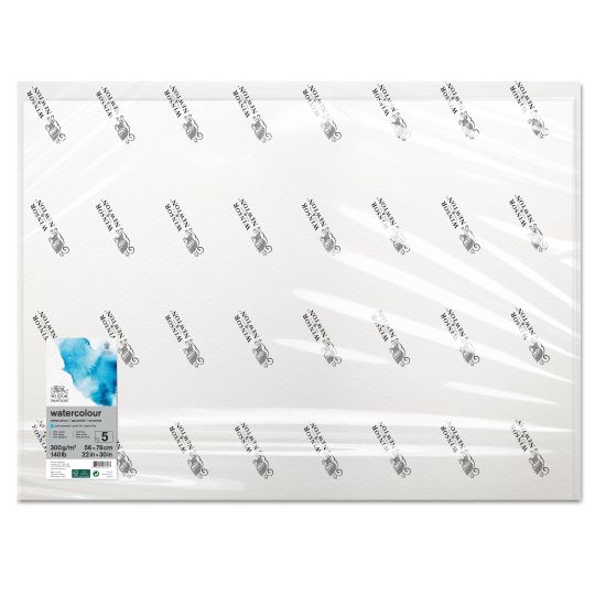 Feuille 25% coton 56x76 300g 10f grain fin Watercolour Winsor&Newton