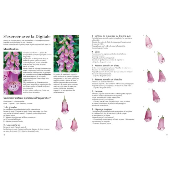 Aquarelle Fleur des Champs, Beautés vénéneuses Gaëtane Nicoulin