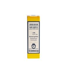 Gomme Gutte - Tube 15 ml Schmincke Horadam