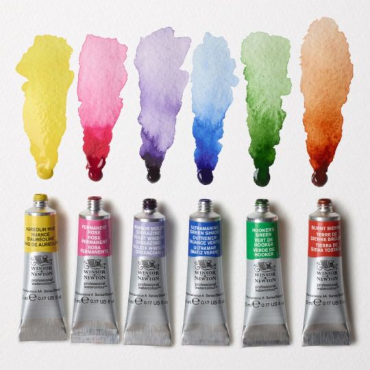 Coffret Couleurs Florales 6 tubes 5ml aquarelle en carton Winsor & Newton