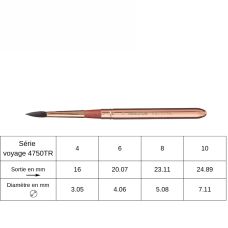 Pinceau de voyage rond Neptune 4750TR Princeton n°6