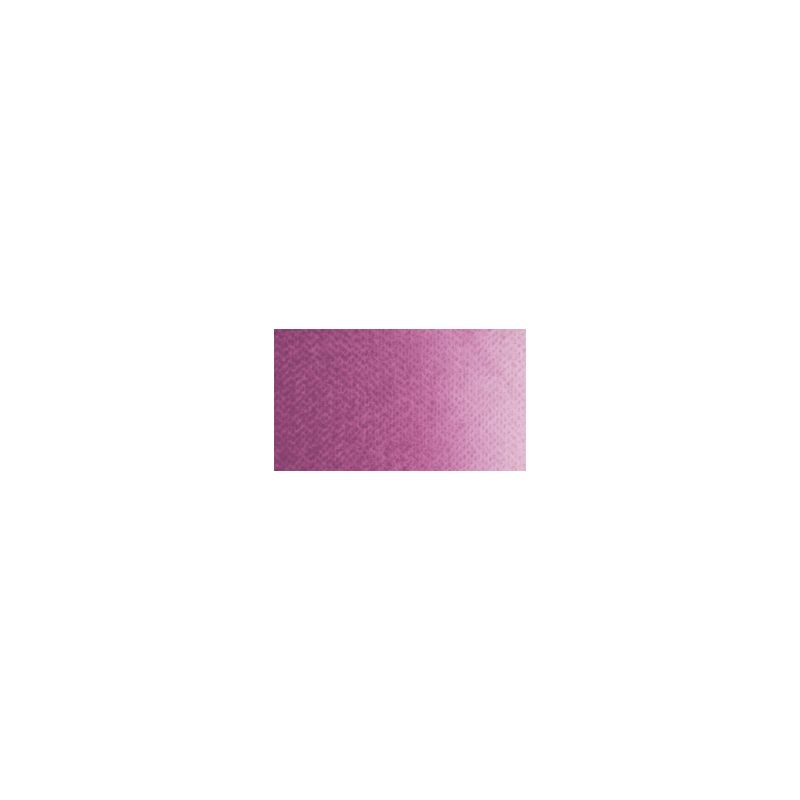 Lilas Pâle - Aquarelle Godet Rosa Gallery