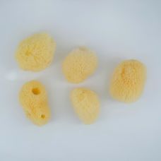 Lot 5 éponges naturelles