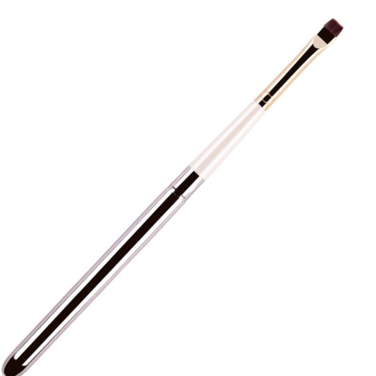 Pinceau de voyage Eradicator R24 Rosemary